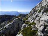 Gozdec - Vrh Laške Planje
