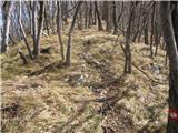 Griže - Kamnik