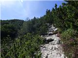 Planina Zajzera - Krniška glavica / Jof di Sompdogna