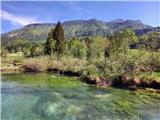 Zelenci
