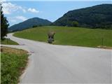 Griže - Kamnik