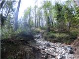 Planina Zajzera - Krniška glavica / Jof di Sompdogna