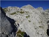 Gozdec - Vrh Laške Planje