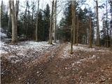 Planina pri Sevnici - Koča na Bohorju