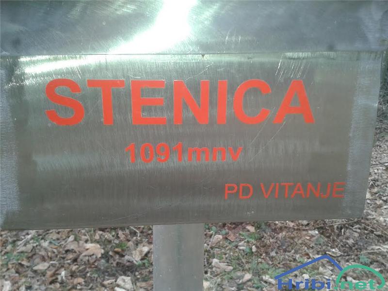 Stenica