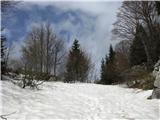do razpotja:levo kopna pot mimo kolujev, desno zasnežena pot mimo Snežne jame