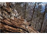 Monte Bruca - 1584 m 501 je prijetna, zložna mulatjera, zgrajena v prvi vojni