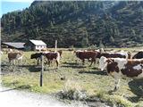 Sportgastein - Vordere Geislspitze / Vorderer Gesselkopf