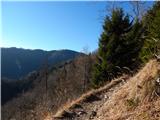 Ljubelj - Planina Planinca