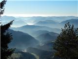 Izlake - Črni vrh (Čemšeniška planina)
