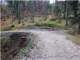 Cesta na Pokljuko (deponija lesa GG Bled) - Berjanca