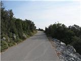 Brdo 475m (Skitača) - Labin-Rabac - Koromačno Cesta se znosno vzpenja na Skitača