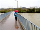 Mazovnik(Golovec) na mostu čez reko Ljubljanico