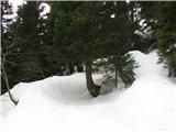 ena redkih vidnih markacij, večina jih je globoko pod snegom