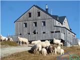 Sportgastein - Vordere Geislspitze / Vorderer Gesselkopf