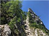 Biščkova glava - Srednja gora - Trta - Macesnovec (grebensko prečenje) Nad skokom v grapo desno