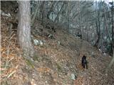 Turška jama  - Stezica polna listja  