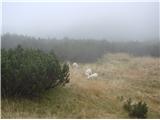 Jamarski bivak na Dleskovški planoti Izgubljene ovčice...