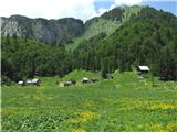 cvetoča planina Za Črno goro