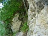 Rjavčeva jama Varovanje in lepo vidna pot do plezališča, ki je par minut nad cesto.