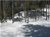 po gozdu še približno1,5 m snega