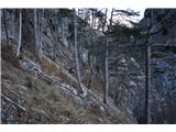 Monte Bruca - 1584 m Tudi kozja stezica se občasno izgubi. Brez markacij in možicev bi bila smer kar vprašljiva