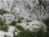 Planina Razor  - spust v Kneške Ravne Tudi tu je šlo z vmesnim peš prečenjem skalne grape