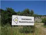 v bližini Ribiškega naselja je paleontološko najdišče, kjer so l. 1994 našli Antonia,  največjega in najbolje ohranjenega dinozavra v Evropi 