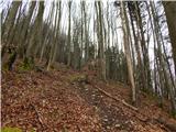 Vovar (940 m) Pot skozi gozd je strma