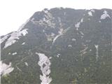 Nisem verjel. Od sedelca (Mačensko sedlo) do vrha Malega Grintovca skoraj 200 višincev.