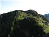 vabi Rjavčki vrh v svojo zeleno  preprogo