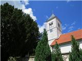 Suhi vrh - Pleša (Nanos) pred cerkvijo Sv. Križa v Stranah rasteta mogočni tisi, stari okoli 540 in 220 let 