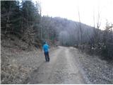 ...in na grebenski gozdni cesti  čez Plešivec in v nadaljevanju sestop v Studenice.