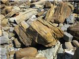 kamni na obali kot kosi preperelega lesa