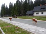 Rudno polje - Blejska koča na Lipanci