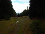 Cesta na Pokljuko (deponija lesa GG Bled) - Berjanca