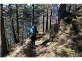 Monte Bruca - 1584 m Nižje se pot vije po prijetnem gozdu