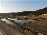 Izola (Jagodje) - Strunjan Saltworks