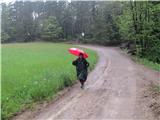  Bistriški jarek, po Kozjaku do Brestanice  Romana teče pred dežju