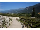 Sentiero Scaloni, Sentiero dell Anglone Pot dolgo vodi skozi nasade trte, kivija in jablan