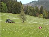 Kmetje na traktorju so šli razstrosit gnoj po travniku z rastočimi narcisami.