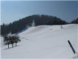 Spust preko Mamovca z obilico snega nemogoč (cesta vidna pri 3 drevesih)