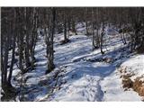 Monte Bruca - 1584 m Snega ni bilo veliko, tudi male derezice niso bile potrebne