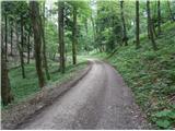 Gozdna cesta nad partizansko bolnico Formilo je bila zgrajena nekje med leti 1952-55....
