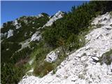 Naborjetske gore (prečenje) Možic proti vrhu Cuel dei Pez