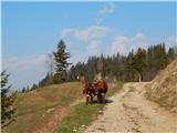 Podljubelj (Lajb) - Tomčeva koča na Poljški planini