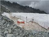 Sentiero dei fiori in cima Payer prekritje ledenika