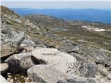 Charlotte Pass - Mount Kosciuszko