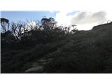 Thredbo - Eagles Nest