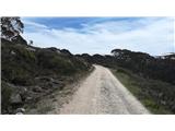 Charlotte Pass - Seaman's Hut